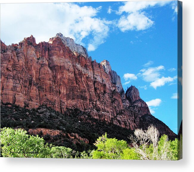 Zion Park Acrylic Print featuring the photograph The Wall by Sylvia Thornton