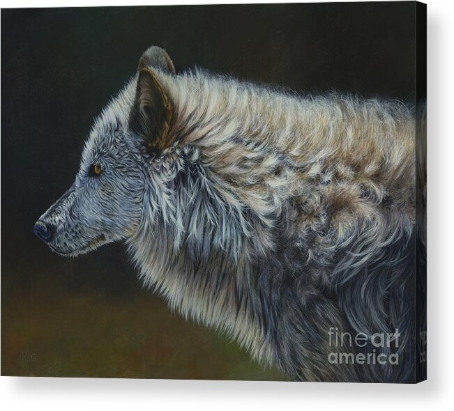 Wolf; Wildlife Acrylic Print featuring the painting Touchable by Rosellen Westerhoff