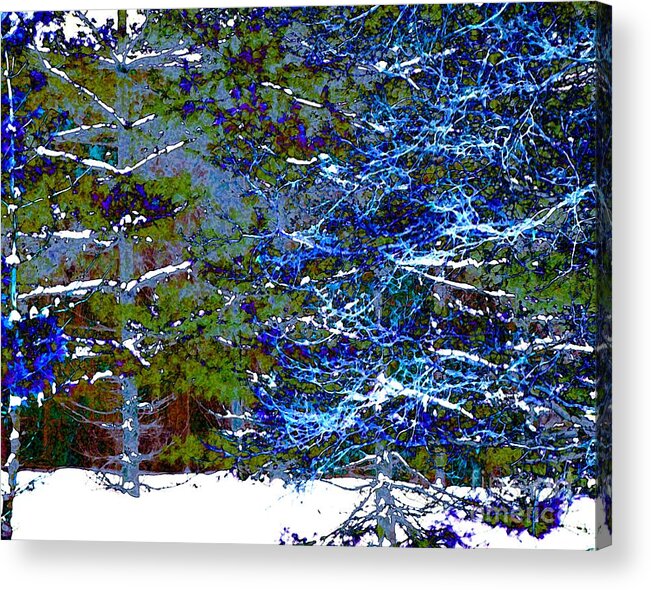 Winter Acrylic Print featuring the digital art Winter Blues by Dale  Ford