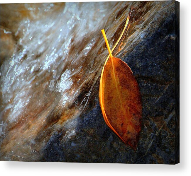 Refuge Acrylic Print featuring the photograph HIS Refuge.. by Al Swasey