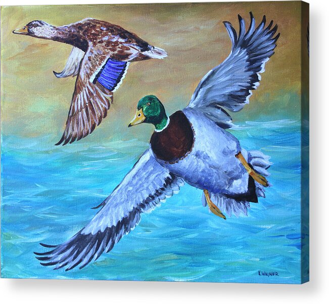 Birds Acrylic Print featuring the painting Mallards in the Delta by Karl Wagner