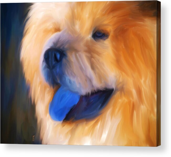 Animal Acrylic Print featuring the painting Morning Light Chow Portrait by Jai Johnson