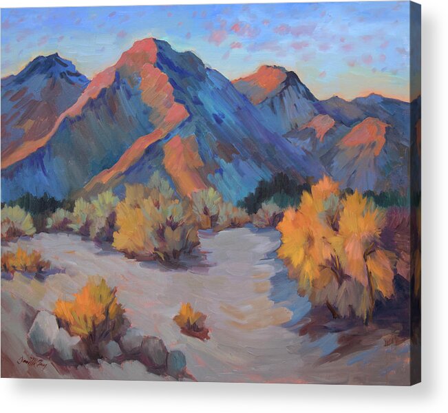 Light Acrylic Print featuring the painting Desert Light by Diane McClary