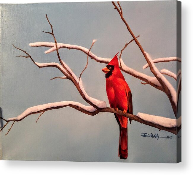 Birds Acrylic Print featuring the painting Last snow of winter, Cardinal by Dana Newman