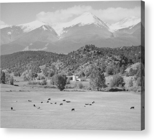 Landscape Acrylic Print featuring the photograph Mountain Meadow by Allan McConnell