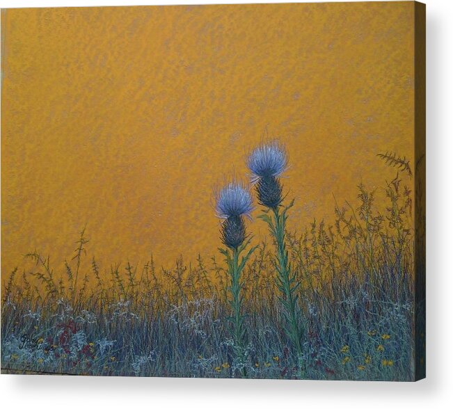 Wildflower Acrylic Print featuring the pastel ORANGE SKY with THISTLE by Gary Edward Jennings