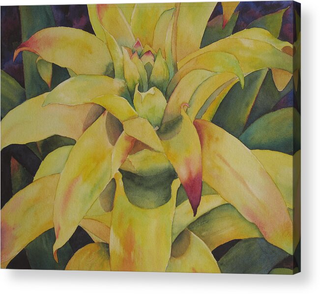 Bormeliad Acrylic Print featuring the painting Yellow Bromeliad by Judy Mercer