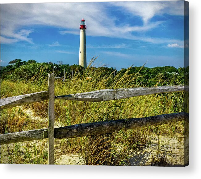 Atlantic Coast Acrylic Print featuring the photograph Dunes at Cape May Light by Nick Zelinsky Jr