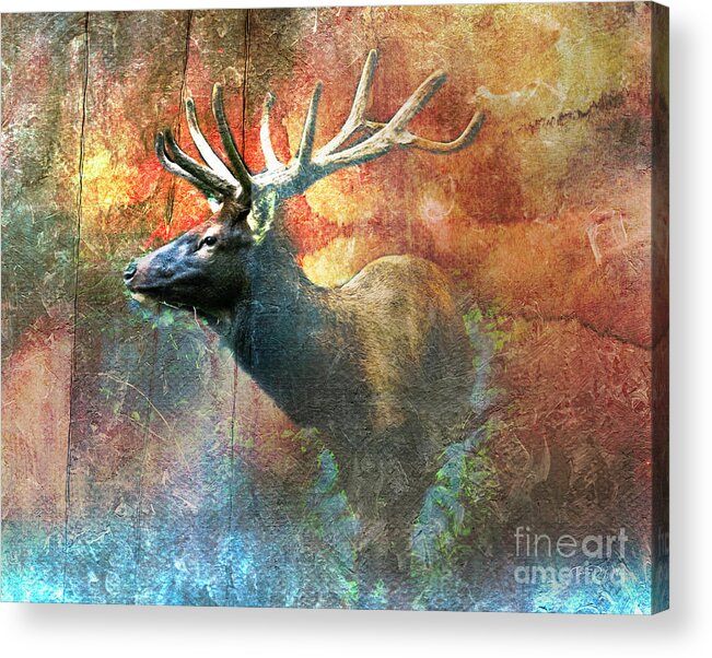 Smoky Mountains Acrylic Print featuring the photograph Smoky Mountains Autumn Elk by Theresa D Williams