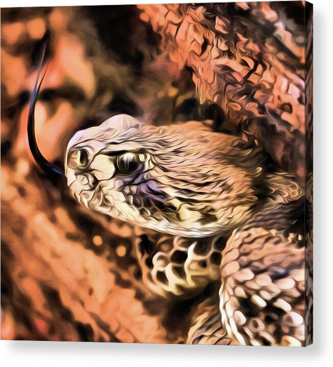 Crotalus Acrylic Print featuring the photograph Up Close With An Atrox by JC Findley