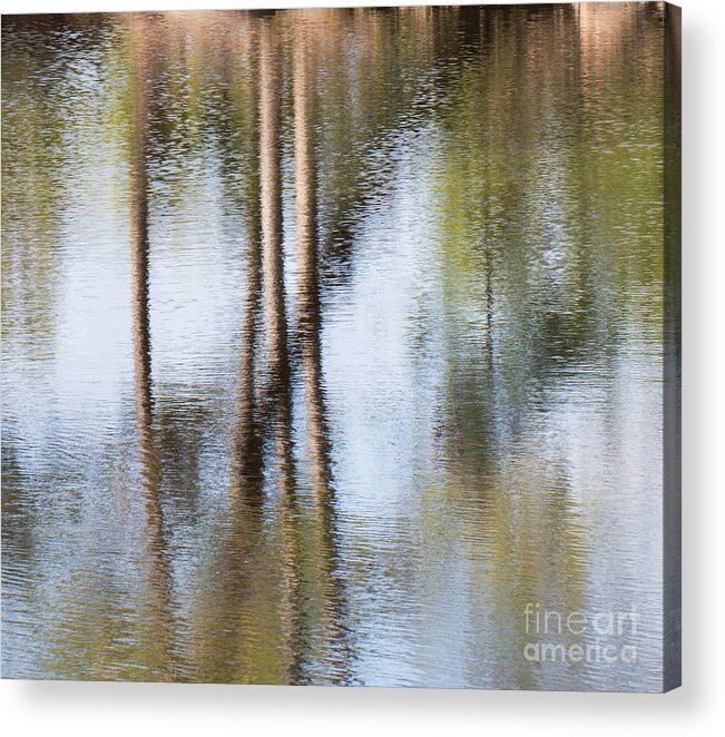 Refection Acrylic Print featuring the photograph Reflection Abstract by Arlene Carmel