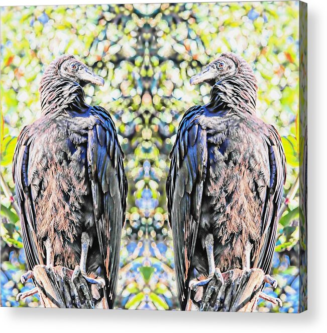 Bird Acrylic Print featuring the photograph Double Trouble by Stoney Lawrentz