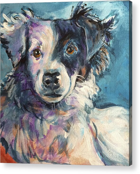  Acrylic Print featuring the painting Archie by Judy Rogan