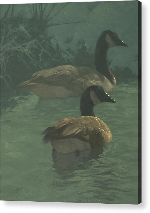 Canada Goose Acrylic Print featuring the painting Hot Springs On A Cold Day by Greg Beecham