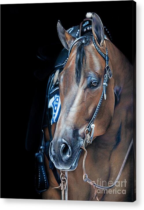 Aqha Acrylic Print featuring the pastel Pam's Ted by Joni Beinborn