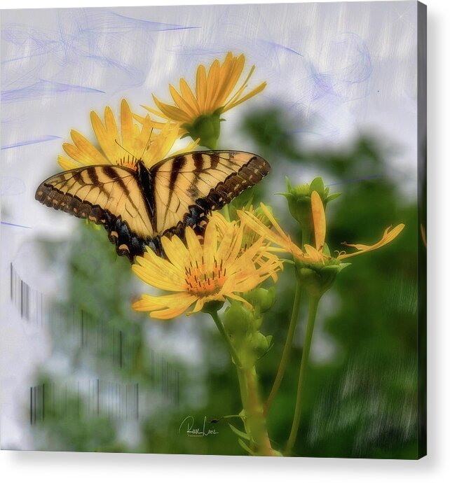 Butterfly Acrylic Print featuring the photograph Awesome Butterfly by Reese Lewis