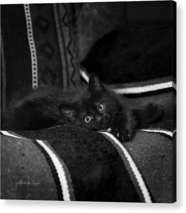 Monotone Acrylic Print featuring the photograph Bugzy in Black and White by Karen Slagle