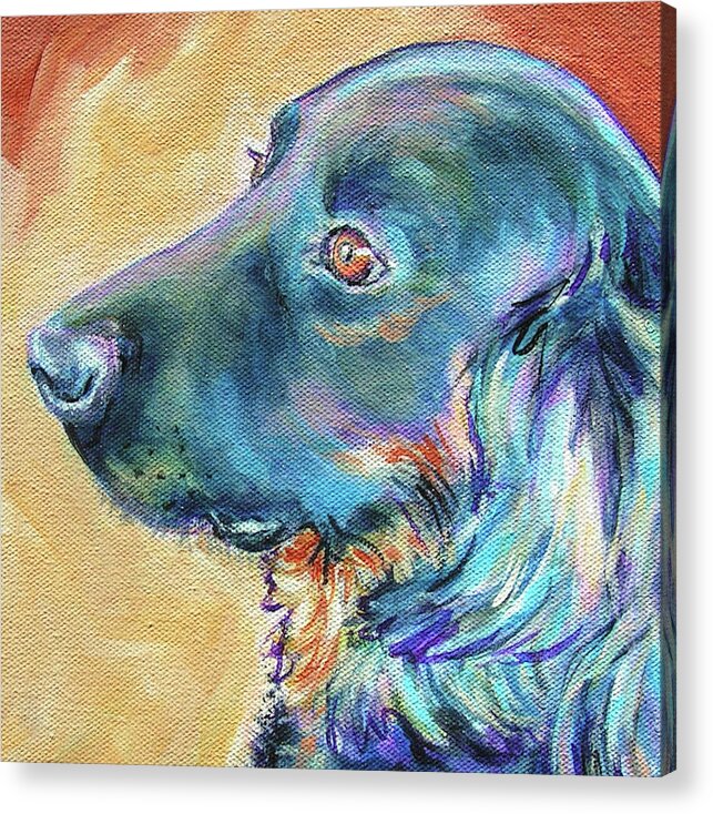  Acrylic Print featuring the painting Blackie by Judy Rogan