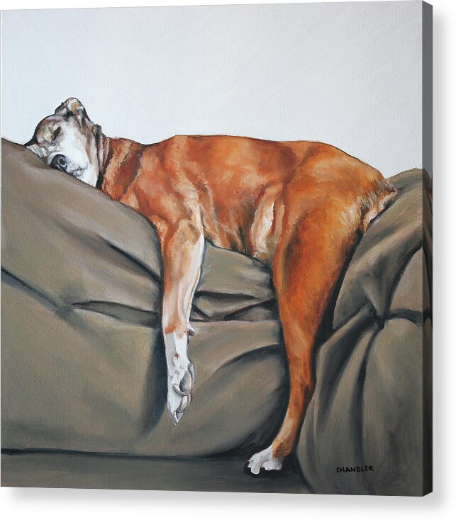 Dog Acrylic Print featuring the painting Couch Potato by Gail Chandler