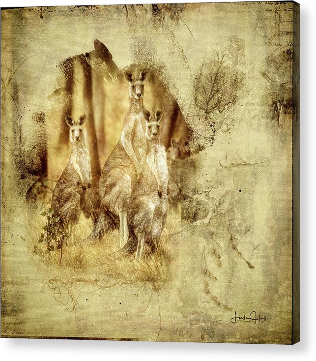 Australia Acrylic Print featuring the digital art We Three Roos by Linda Lee Hall