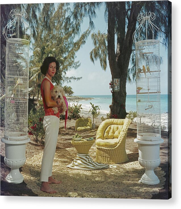 Pets Acrylic Print featuring the photograph Gloria Schiff by Slim Aarons