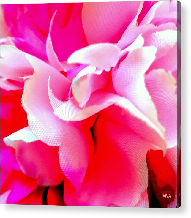 Peony Acrylic Print featuring the photograph Pongee Petals Dancing by VIVA Anderson