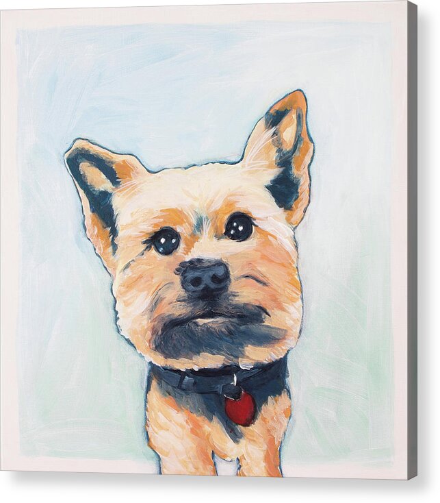 Yorkie Acrylic Print featuring the painting Bear by Pamela Schwartz