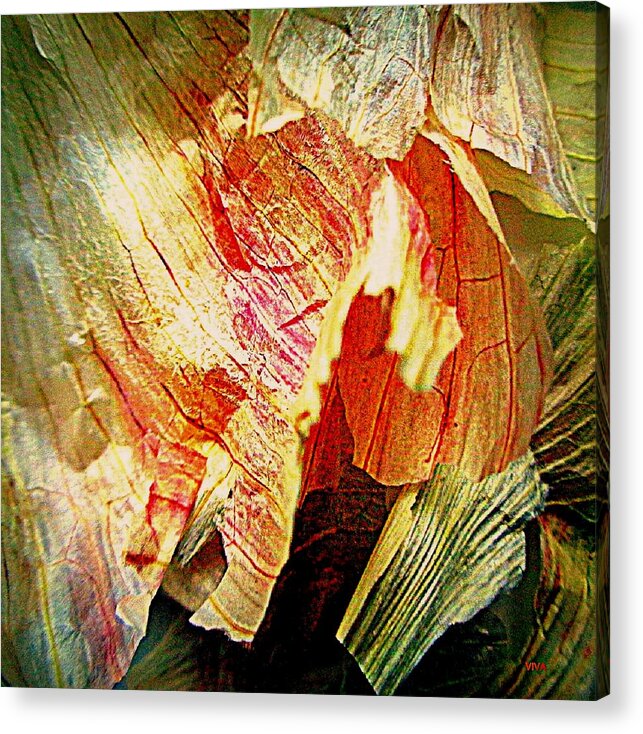 Garlic Peel Acrylic Print featuring the photograph Garlic Peel Celebrated by VIVA Anderson
