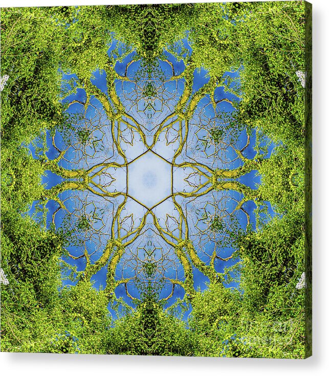 Eindhoven Acrylic Print featuring the photograph Mandala 399 by Casper Cammeraat