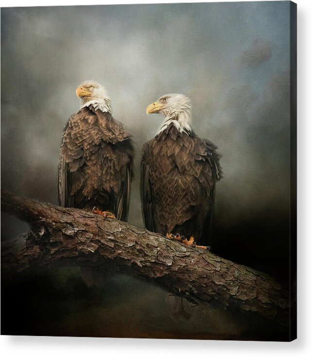 Bald Eagles Acrylic Print featuring the photograph The End Of The Storm by Jai Johnson