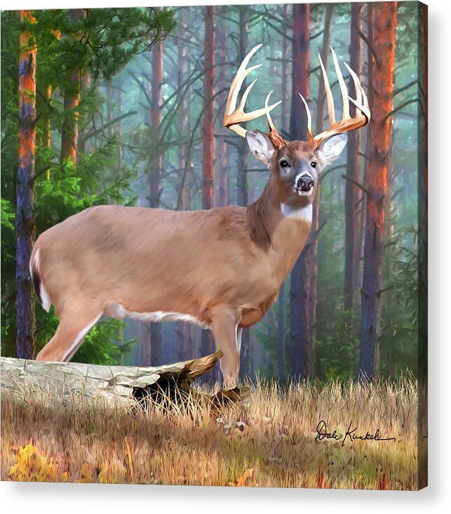 Whitetail Deer Acrylic Print featuring the painting Whitetail Deer Art Squares - Twelve Point Whitetail Deer Buck by Dale Kunkel Art