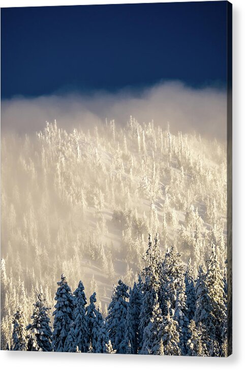 Snow Acrylic Print featuring the photograph Cloud Blanket by Martin Gollery