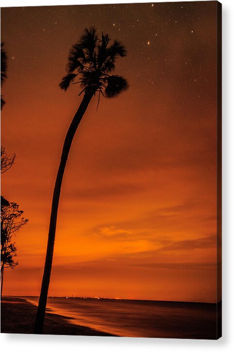Palm Trees Acrylic Print featuring the photograph Morning Transition by Kevin Senter