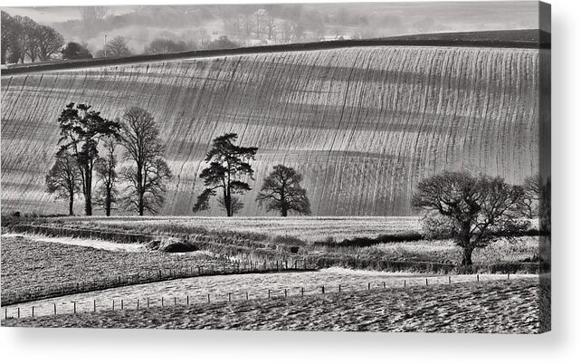 Fields Acrylic Print featuring the photograph Fields and trees by Pete Hemington