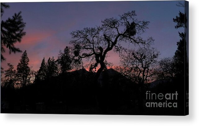 Landscape Acrylic Print featuring the photograph Lights Out #1 by Julia Hassett