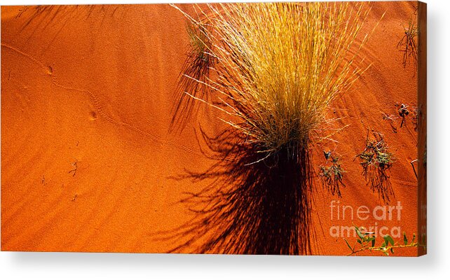 Palm Valley Central Australia Landscape Outback Australian Acrylic Print featuring the photograph Tracks in the Sand #1 by Bill Robinson