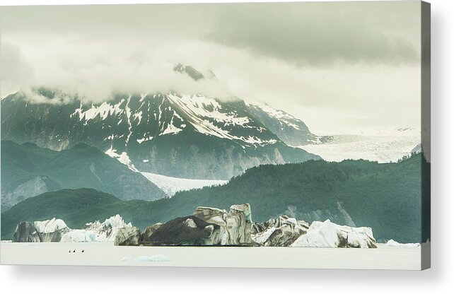 Glacier Bay National Park Acrylic Print featuring the photograph Kayakers Navigating Icebergs In Alsek #3 by Josh Miller Photography