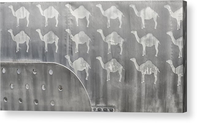 Aircraft Kill Tags Acrylic Print featuring the photograph A pack of camels by Gary Warnimont