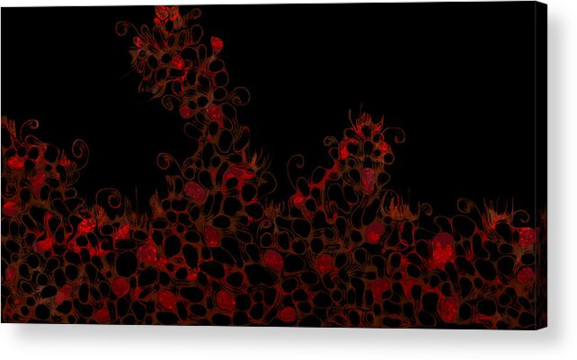 Red. Black. Orange Acrylic Print featuring the digital art Abstract3 by Shabnam Nassir