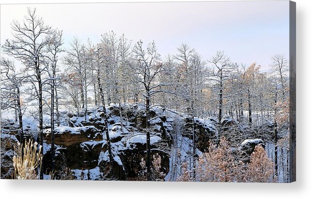 Black Hills Acrylic Print featuring the photograph After The Fire by Donald J Gray