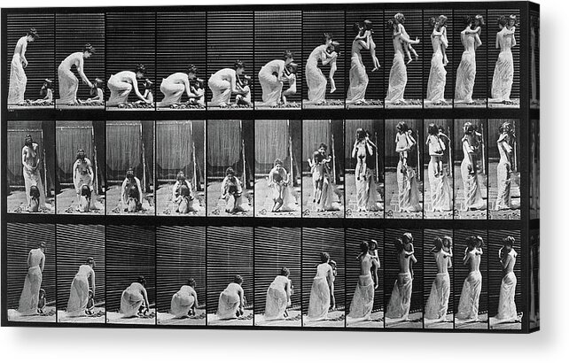 1880s Acrylic Print featuring the photograph Animal Locomotion, Woman Lifting Child by Wellcome Images
