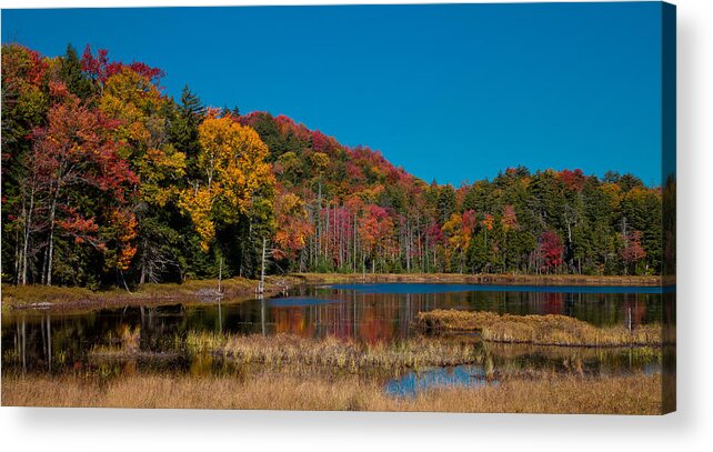 Adirondack's Acrylic Print featuring the photograph Autumn on Fly Pond by David Patterson
