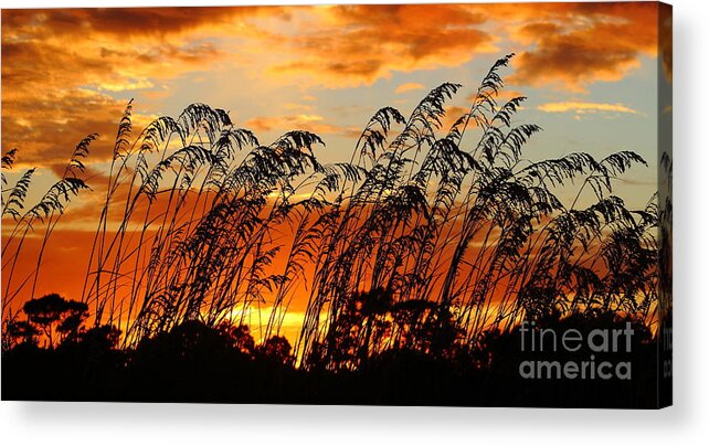 Sapelo Acrylic Print featuring the photograph Cabretta Sunset by Andre Turner