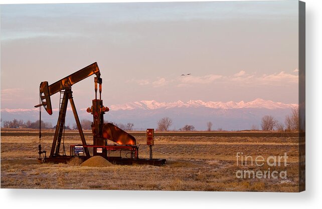 Oil Acrylic Print featuring the photograph Colorado Oil Well Panorama by James BO Insogna