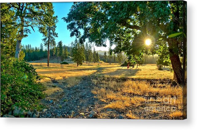 Landscape Acrylic Print featuring the photograph Cool Hazy Sunrise by Julia Hassett