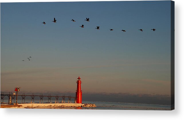 Algoma Acrylic Print featuring the photograph Evenings Final Flight Over The Light by Janice Adomeit
