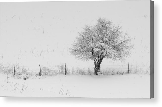 Fence Acrylic Print featuring the photograph Fence line in the Wintertime by Holden The Moment