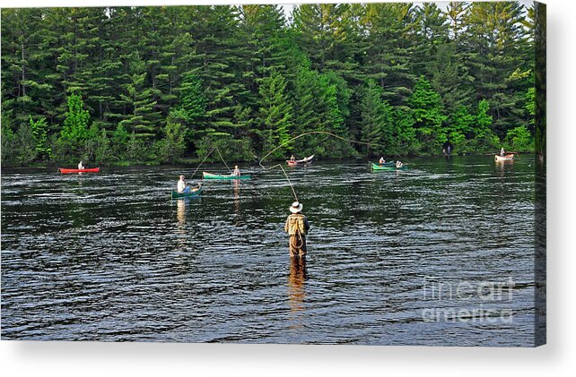 Fly Fishing Acrylic Print featuring the photograph Fly Fishing West Penobscot River Maine by Glenn Gordon