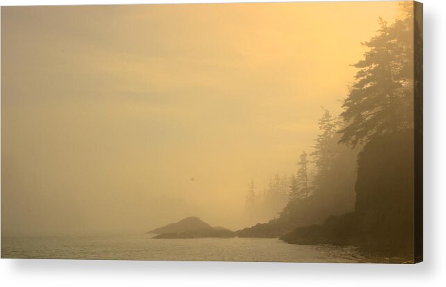 Sunny And Fog At Schooner Cove Acrylic Print featuring the photograph Fog and Sun by Brian Sereda