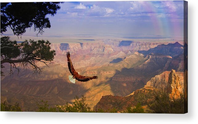 Fly Acrylic Print featuring the digital art Grand Canyon Eagle by Bruce Rolff